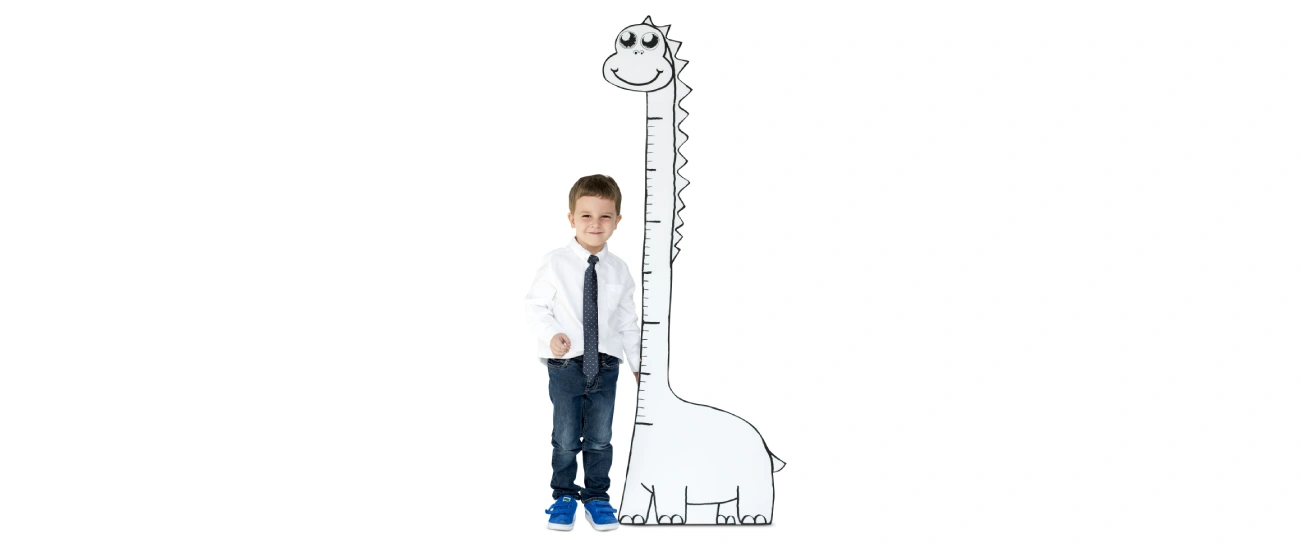 Erkek Bebek Büyüme Eğrisi